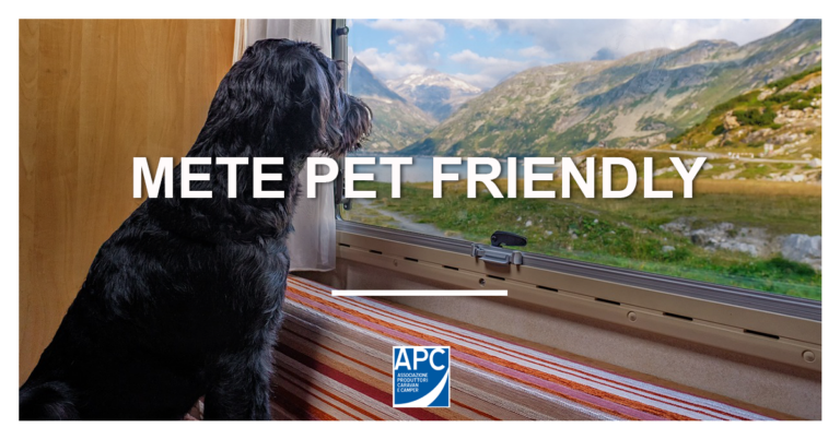 In camper con il proprio amico a 4 zampe: le mete pet friendly da scoprire quest’estate