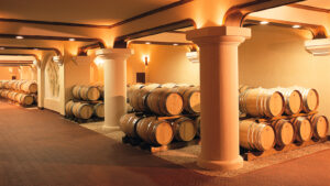 Museo Zonin a Gambellara: dove la storia del vino diventa patrimonio di tutti