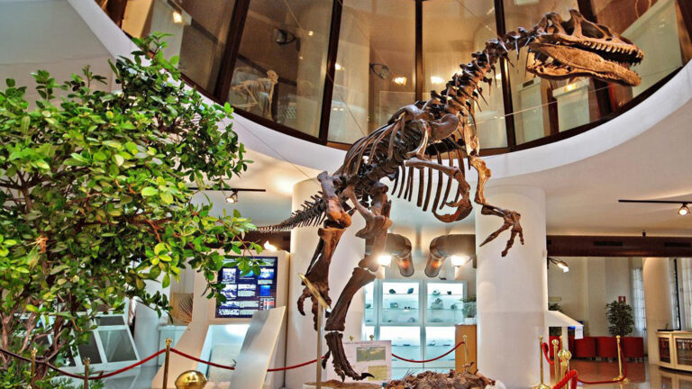 In camper nel Giurassico: alla scoperta del museo Paleontologico di Borgo Celano