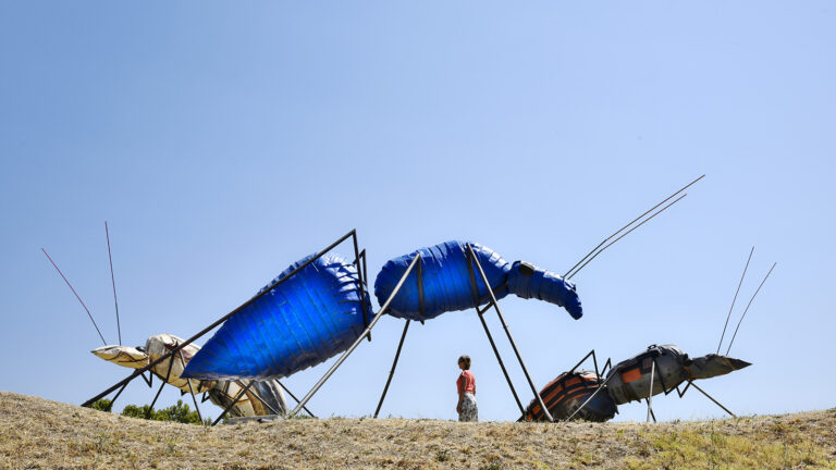 Turismo in libertà e arte contemporanea: alla scoperta del Giardino “Viaggio di Ritorno” in Maremma